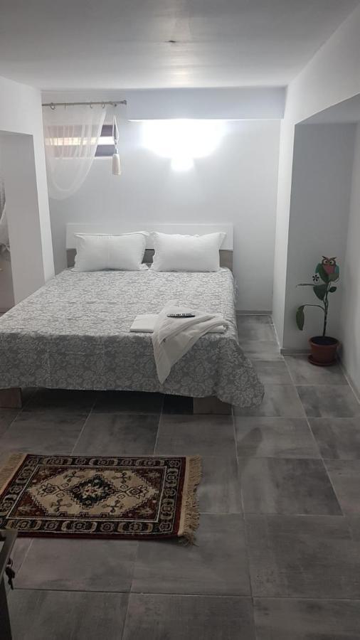 Casa Andrei Techirghiol Hotel Екстериор снимка